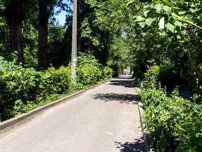 квартира за адресою Лесі Українки бульв., 16-А