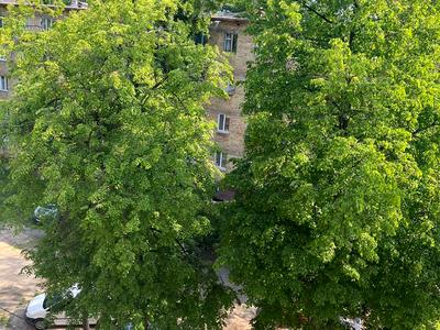 квартира по адресу Леся Курбаса просп., 9-Г