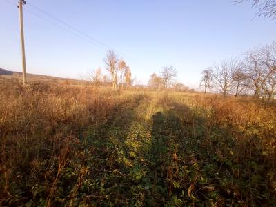 дом по адресу Львівська, 7
