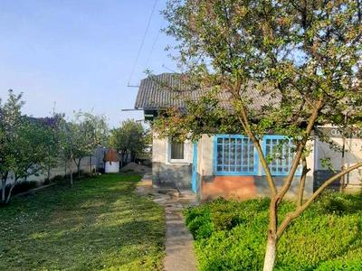 дом по адресу Левицького, 235