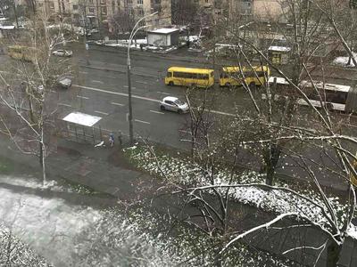 квартира за адресою Свободи просп., 28