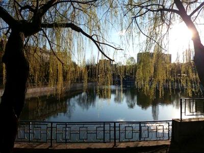квартира по адресу Вацлава Гавела бульв. (Івана Лепсе), 19