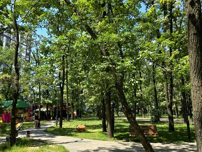 квартира по адресу Софиевский пер., 18