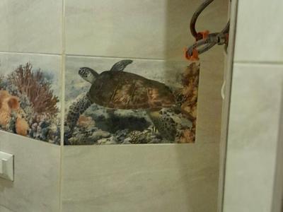 квартира по адресу Юрковская ул., 36