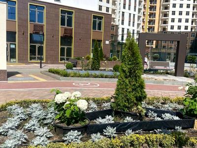 квартира по адресу Краснова ул., 3