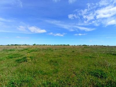 ділянка за адресою Лісові Гринівці, 121