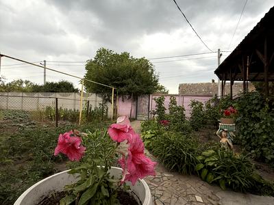 будинок за адресою Дніпробуду вул.