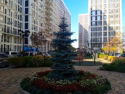 квартира за адресою Михайла Максимовича вул. (Онуфрія Трутенка), 24