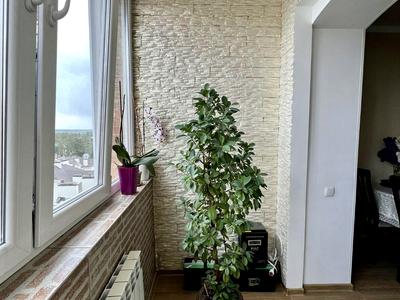 квартира по адресу Лесная ул., 46