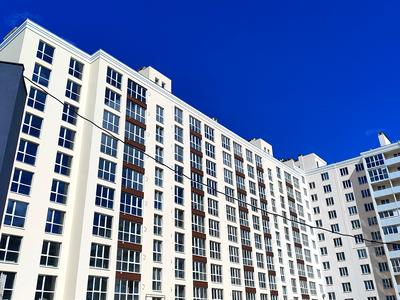квартира за адресою Незалежності вул., 21