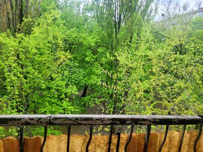 квартира по адресу Уманская ул., 31