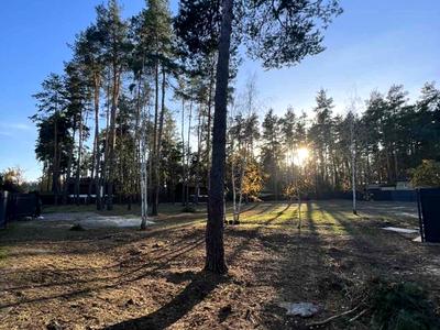 участок по адресу с. Романков, Сосновый Бор ул.