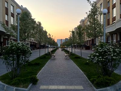 квартира за адресою Відпочинку вул., 1