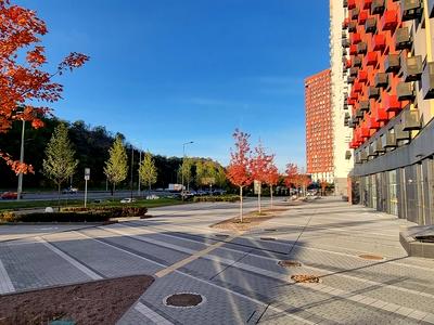 квартира за адресою Столичне шосе, 5