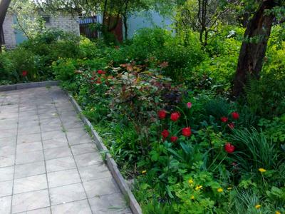 квартира за адресою Антона Цедіка вул., 26