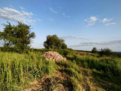 ділянка за адресою с. Поршна, Шевченка
