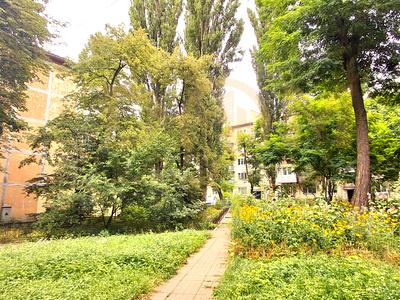 квартира по адресу Салютная ул., 29-А