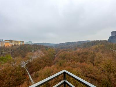 квартира по адресу Пасечная ул., 93