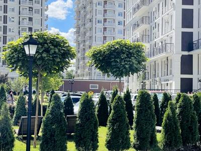 квартира за адресою Михайла Максимовича вул. (Онуфрія Трутенка), 26-Г