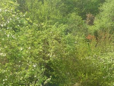 будинок за адресою Замарстинівська вул. (Калініна), 270