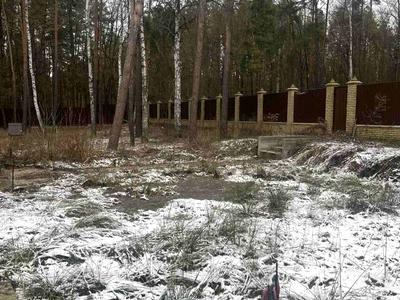 дом по адресу Леніна