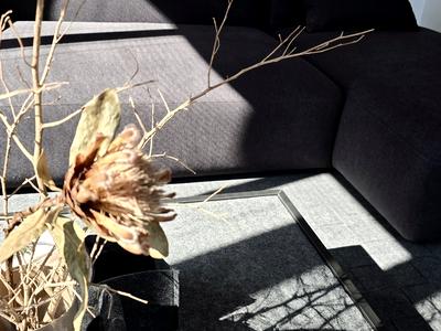 квартира по адресу Михаила Бойчука ул. (Киквидзе), 41-Б