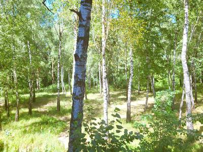 квартира за адресою Алматинська вул. (Алма-Атинська), 41-А