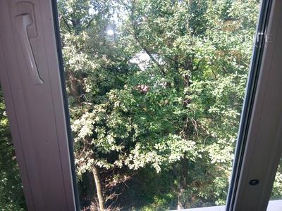 квартира по адресу Белокур ул. (Курская), 7-А