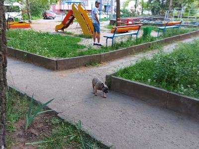 квартира по адресу Нагірна ул., 89