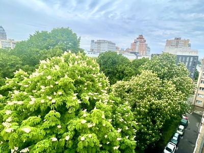 квартира за адресою Лесі Українки бульв., 19