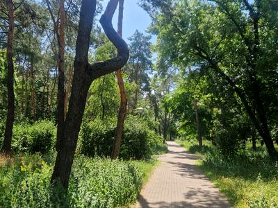 квартира по адресу Воскресенская ул., 2-В
