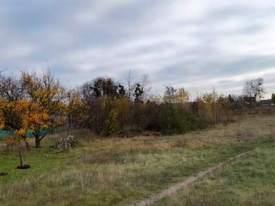 ділянка за адресою с. Свидівок, Набережна, 12а