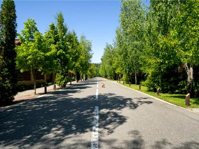будинок за адресою Виноградна вул., 11
