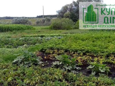 будинок за адресою вул. Дачна
