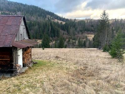 ділянка за адресою Стави