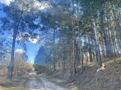 будинок за адресою Шевченка