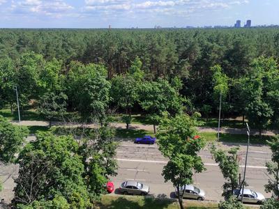 квартира по адресу Лесной просп., 43