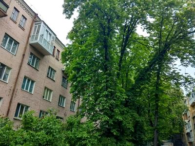 квартира за адресою Володимира Винниченка вул. (Юрія Коцюбинського), 18