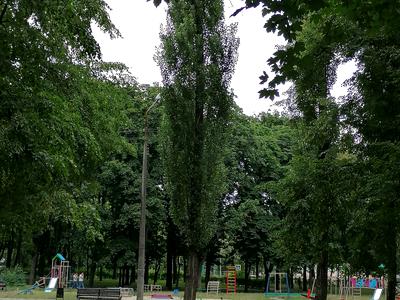 квартира по адресу Ивана Дзюбы ул. (Сімʼї Сосніних), 12-А