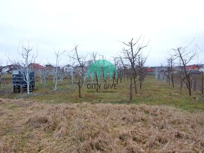будинок за адресою с. Братківці, Петрикова