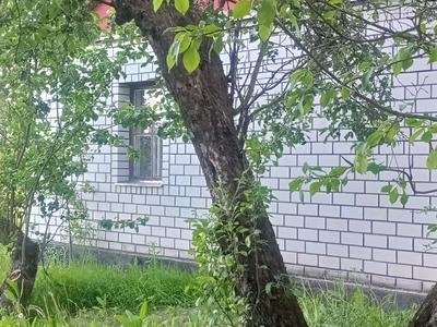дом по адресу Білошиці
