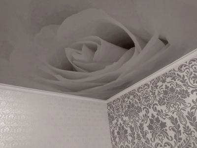 квартира за адресою Генерала Олекси Алмазова вул. (Генерала Карпенка), 59