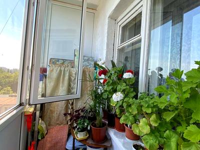 квартира по адресу Генерала Петрова ул., 46