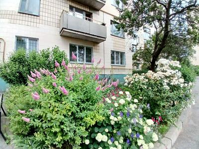 квартира по адресу Георгія Дудника ул. (Цюрупинська), 2