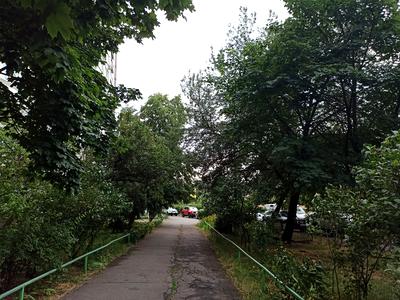 квартира по адресу Князя Романа Мстиславича ул. (Генерала Жмаченка), 18