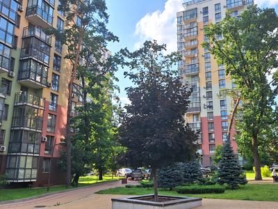 квартира за адресою Анатолія Петрицького вул., 21-А
