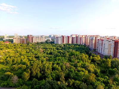 квартира за адресою Михайла Максимовича вул. (Онуфрія Трутенка), 32-А