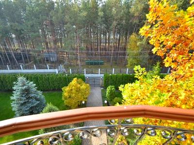 будинок за адресою Польова