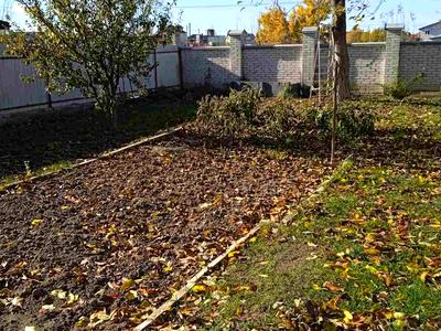дом по адресу Тарасівська