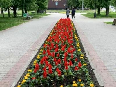 квартира за адресою Садовий проїзд, 24а